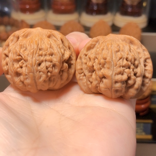 望月狮子头：全品