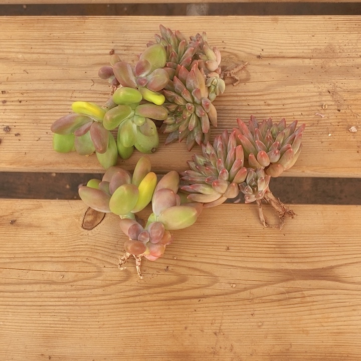 是吗这不还没有下班