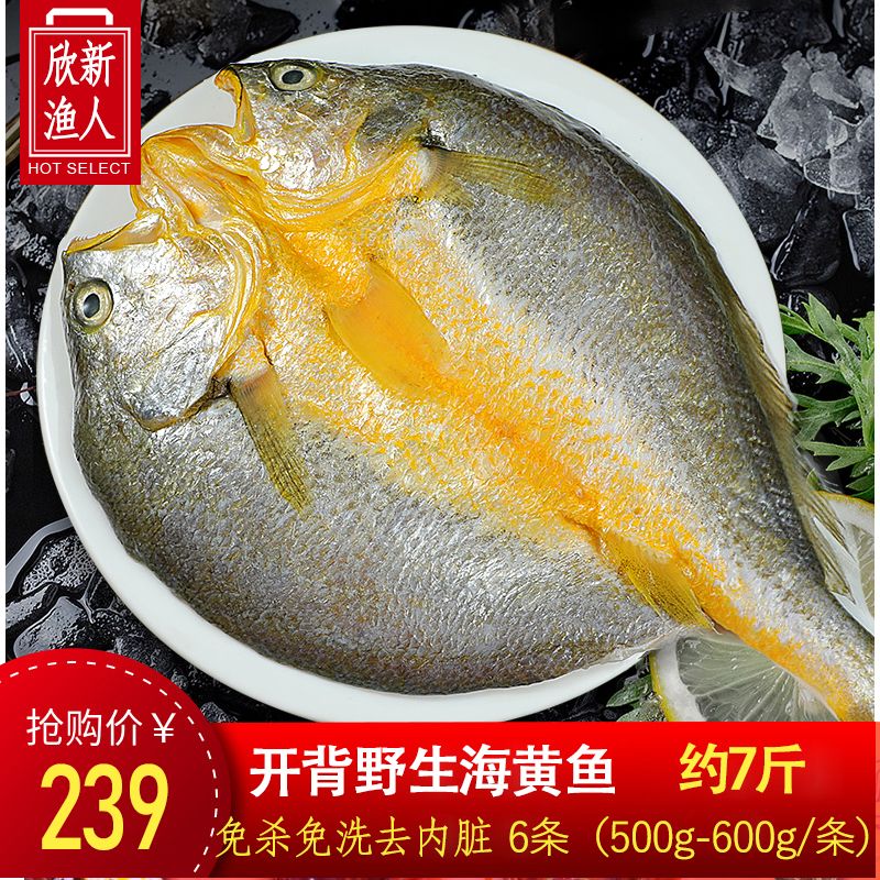 【6条装】开背大黄鱼鲞新鲜黄花鱼三免海捕生鲜黄鱼烧烤鲜火锅3300g