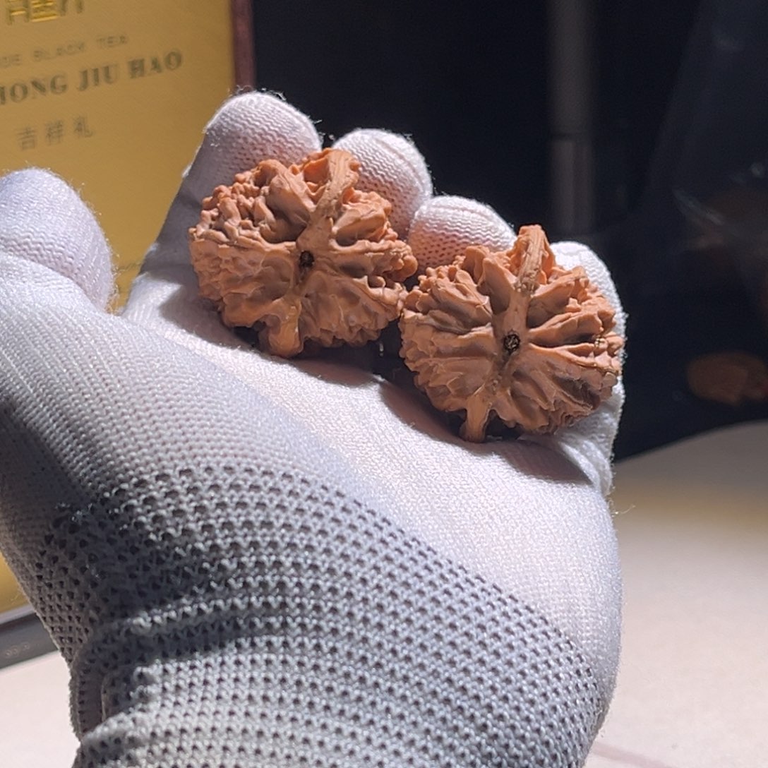 猪***森苹果园 苹果园 苹果园 