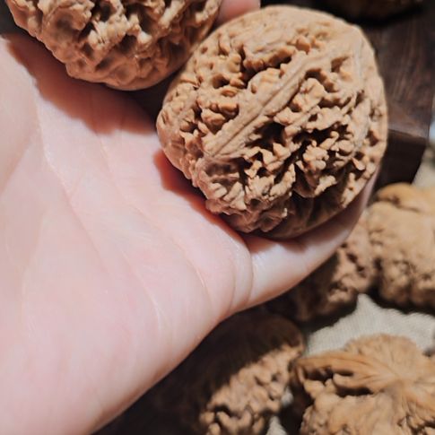 @***生吊坠文玩核桃46粗筋