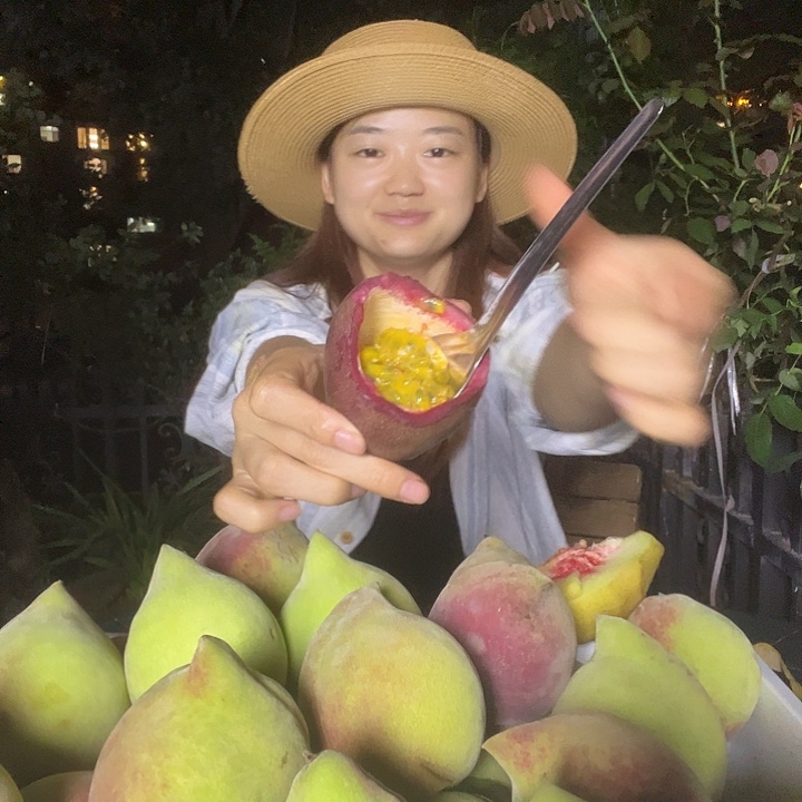 南充充国香桃百香果