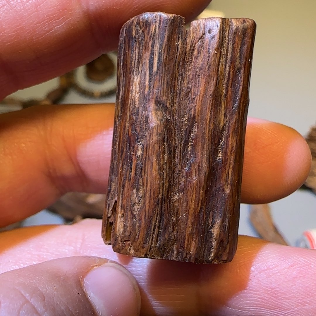 沉香碎屑沉香2.53克老惠安