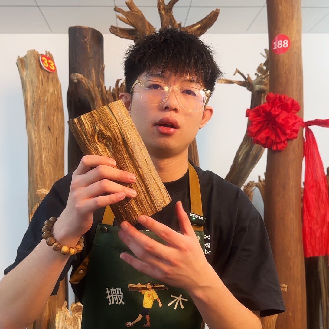 沉香摆件天然沉香原木摆件➕底座