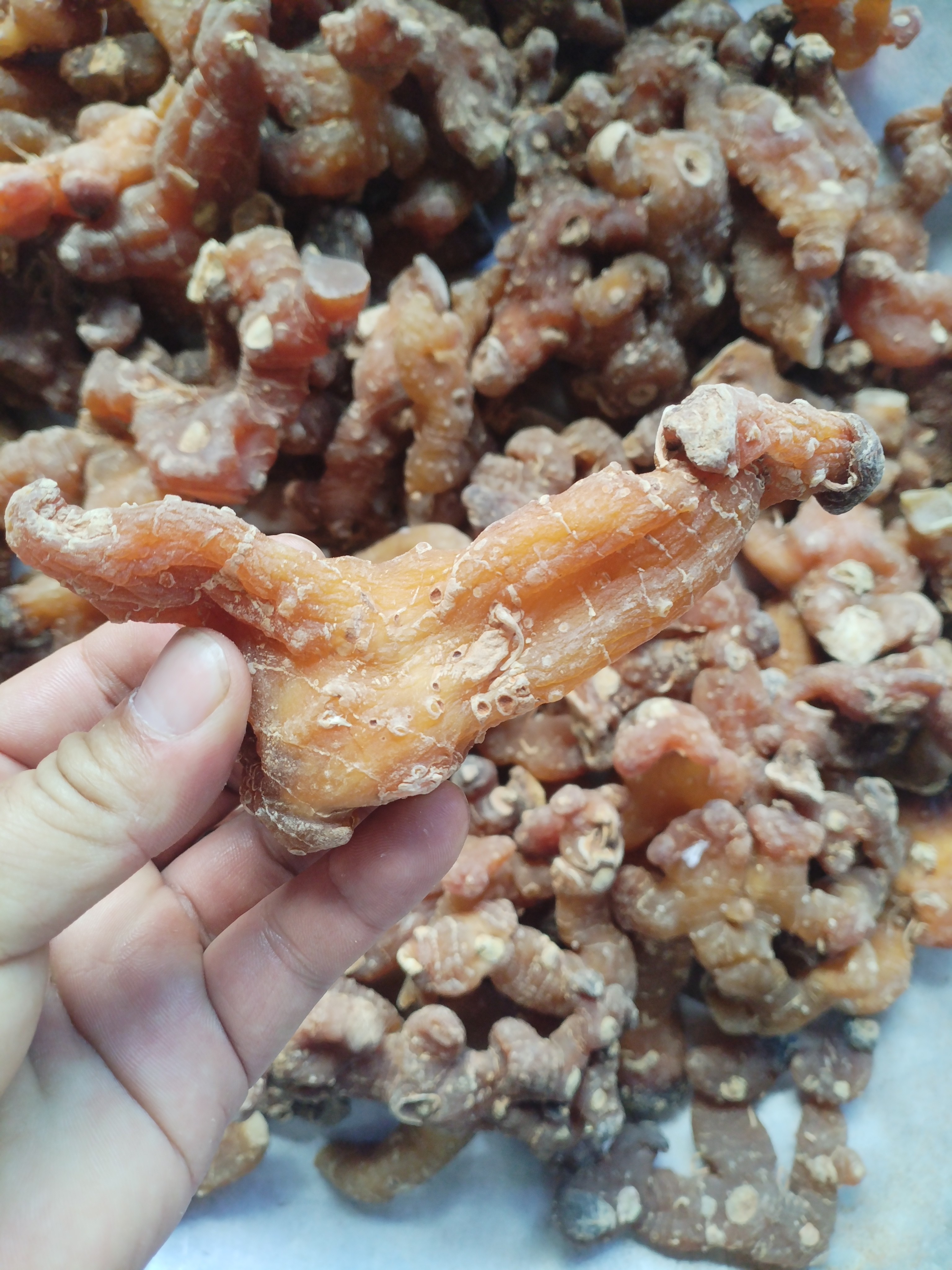 土特产≈[零时链接]非香菇