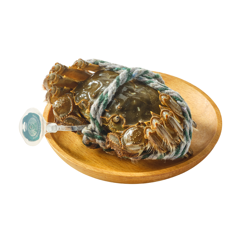 鲜活 阳澄湖大闸蟹(母蟹) 115-135g/只(2.3-2.7两)