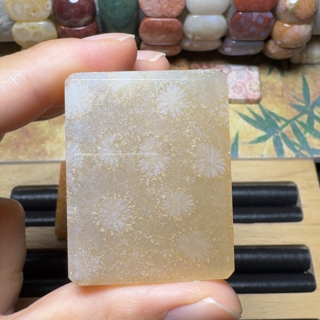 硅化玉糖花牌牌未镶嵌