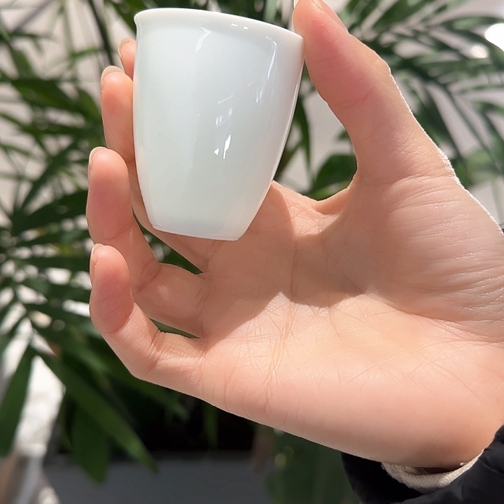 瓷片健康咯组了个团哦