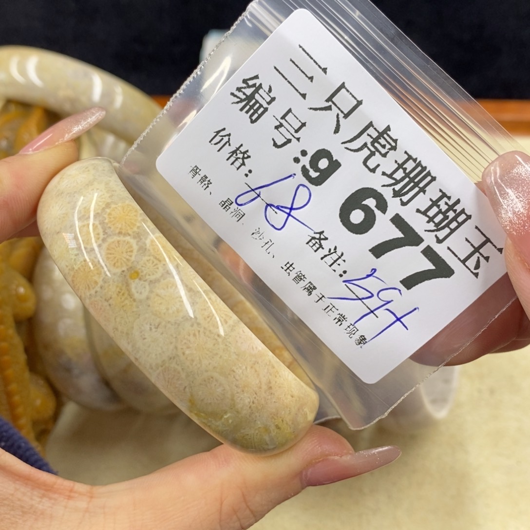 硅化珊瑚（珊瑚玉）未镶嵌1 糖*