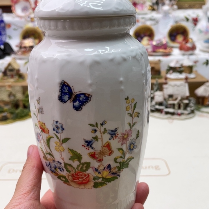 盘维多利亚欧洲中古