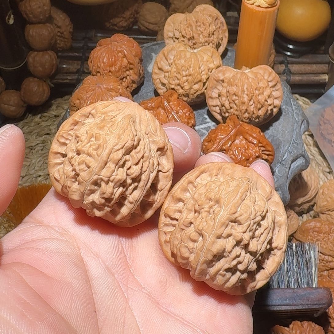 核桃蓟县老树望月11111