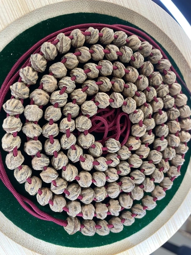 双排蛇骨百香。108