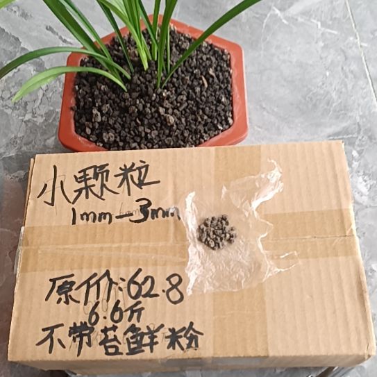摇***树兰菌黑山土小颗粒6.6斤