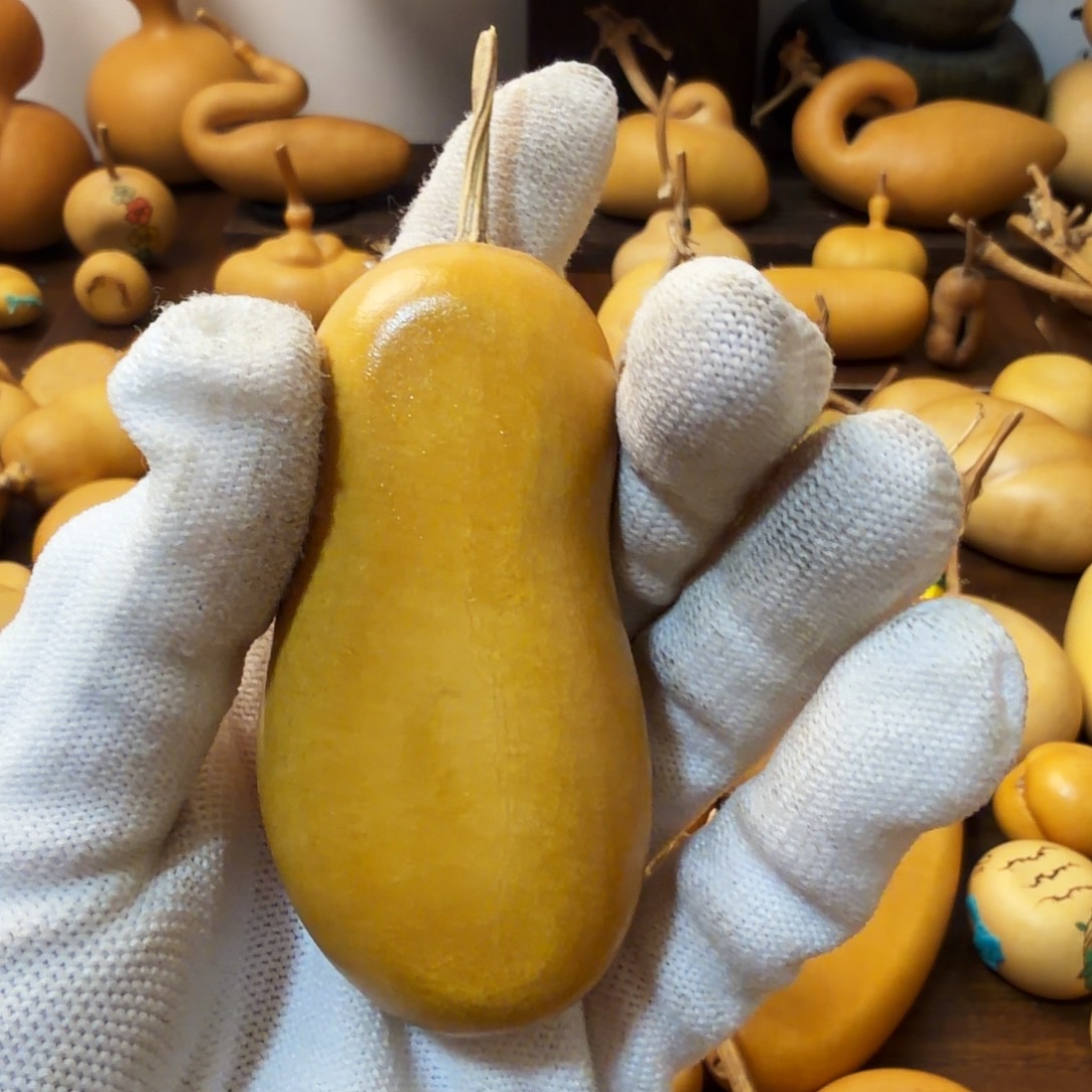 团***剧纯天然的真葫芦31