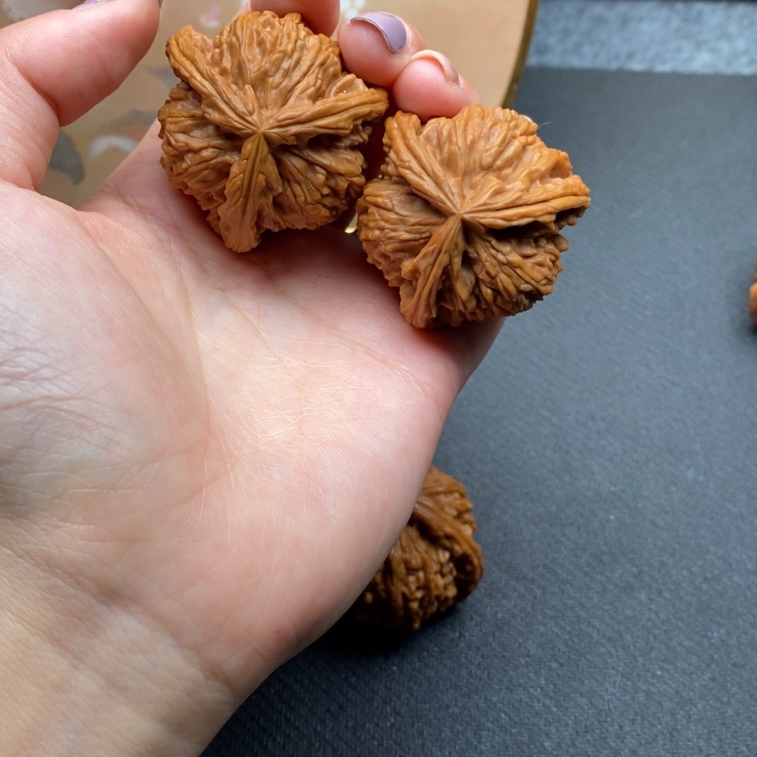 2****9白狮子1111111111