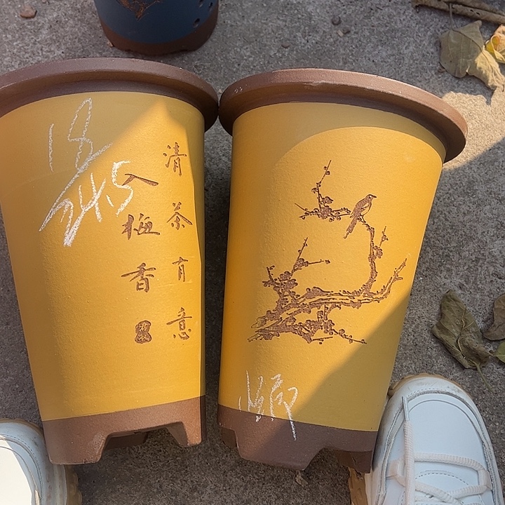 55号号宜兴紫砂花盆特惠