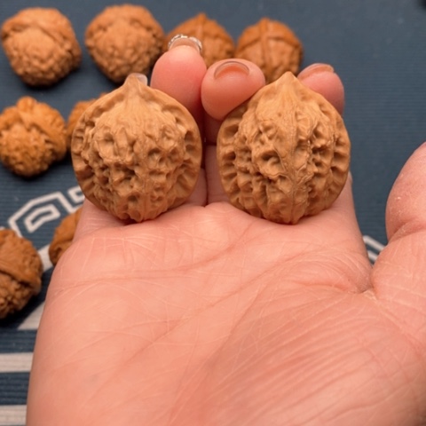 橄榄核手串/手链野生66