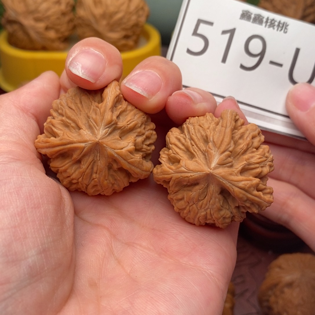 文玩核桃把件玉龙奔36