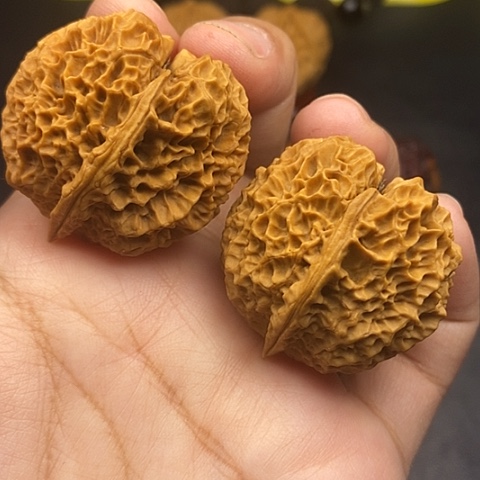 文玩核桃把件37尺荒古金蟾