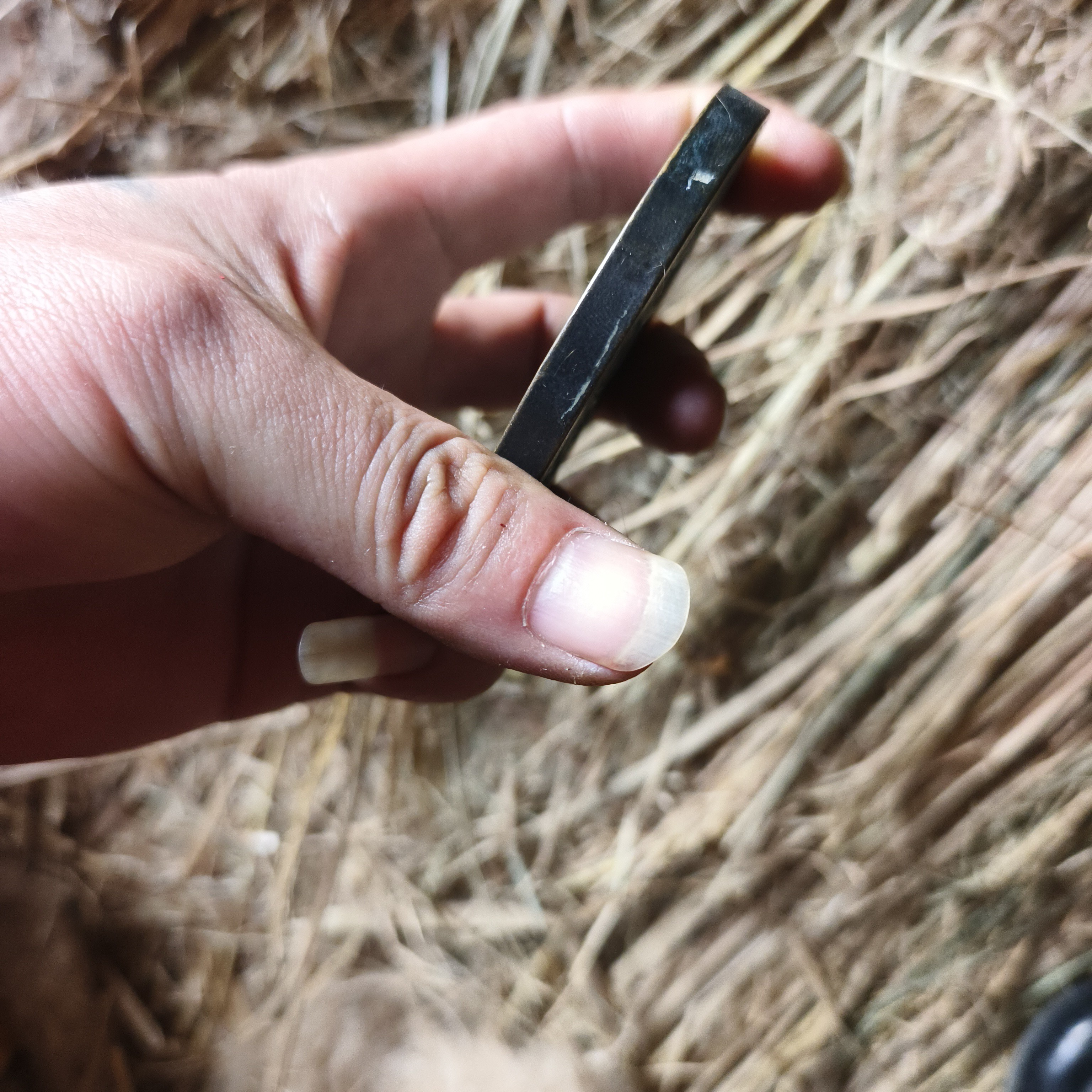 家居饰品家居饰品大花现代工艺品C019