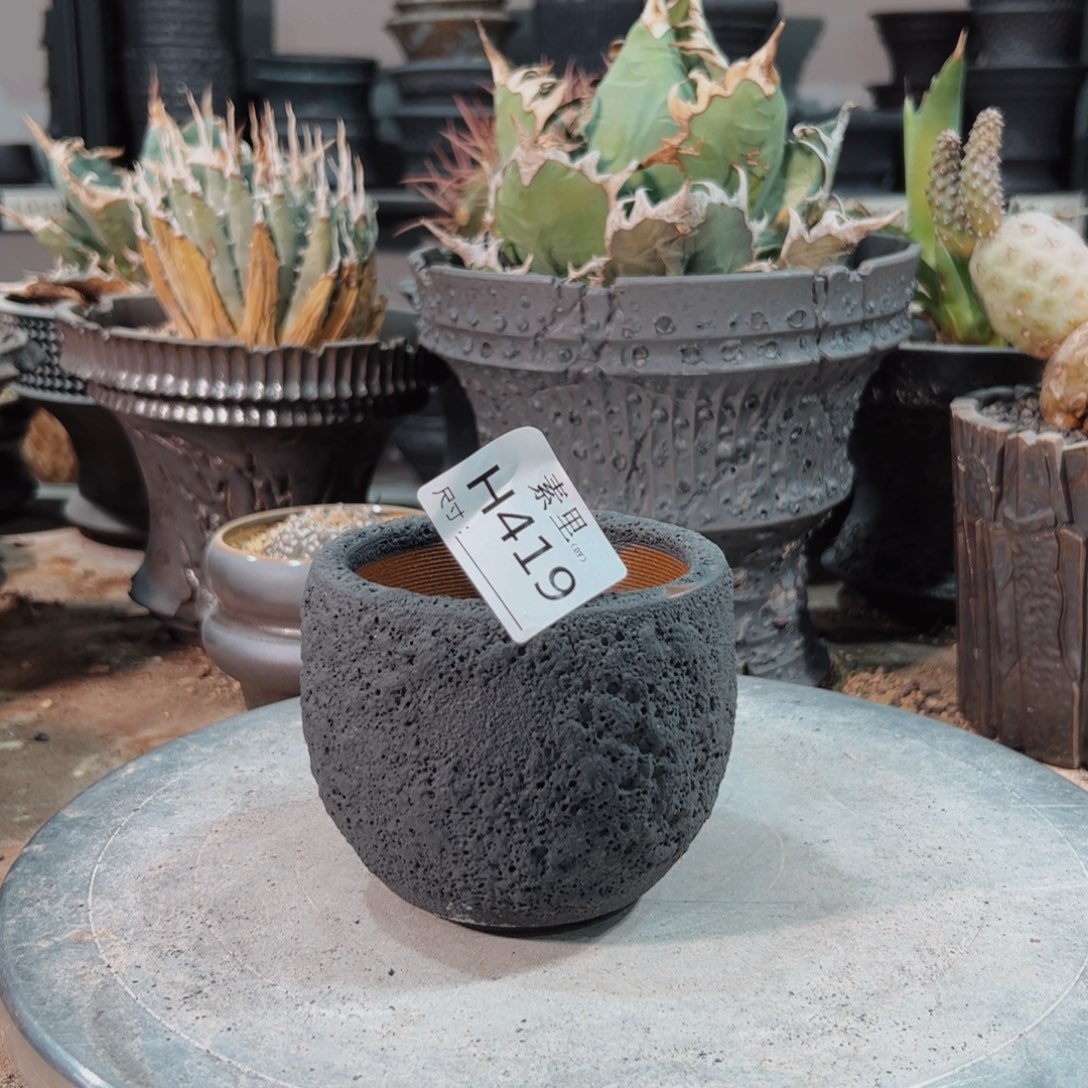 景德镇手工素里内口8高8.5