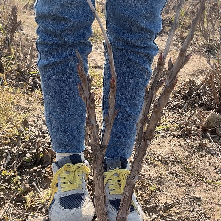 完全开放11111111