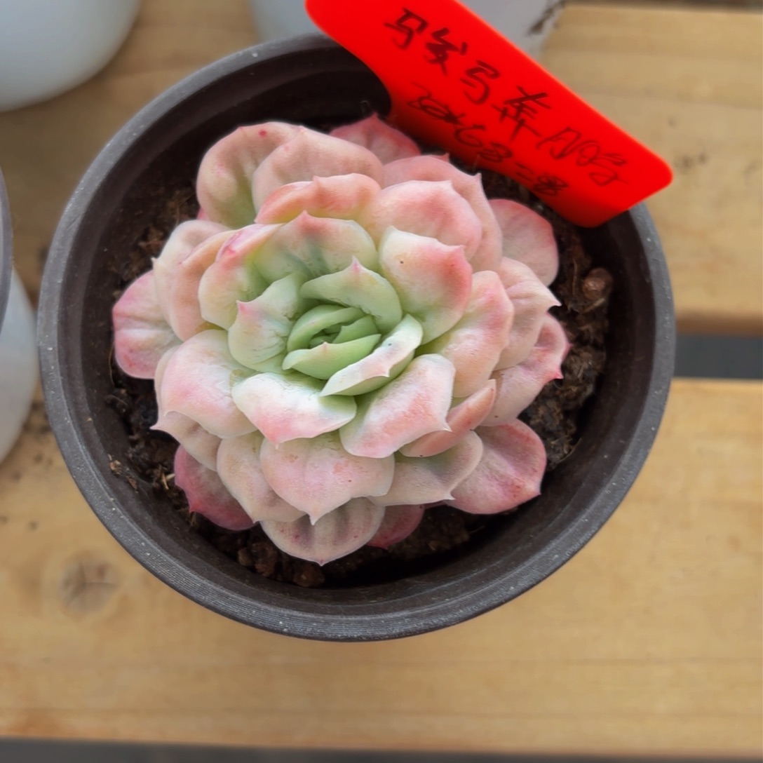 哈哈哈哈哈哈哈哈哈哈