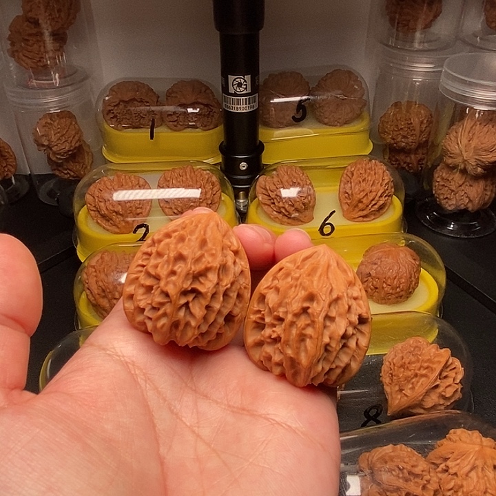 37高尖大肚凹底龙门涧      