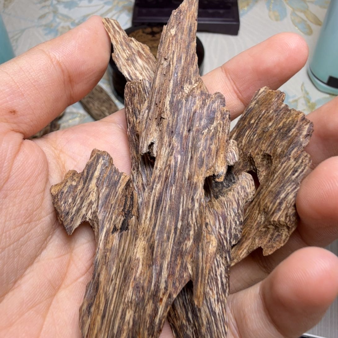 香榧木海南尖峰岭糖结虫漏11.9克