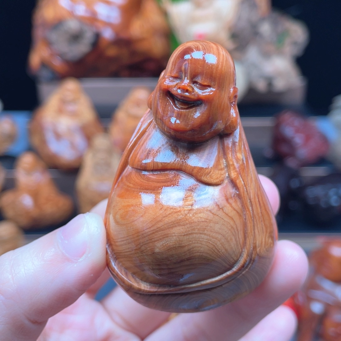 柏木（崖柏）太行崖柏