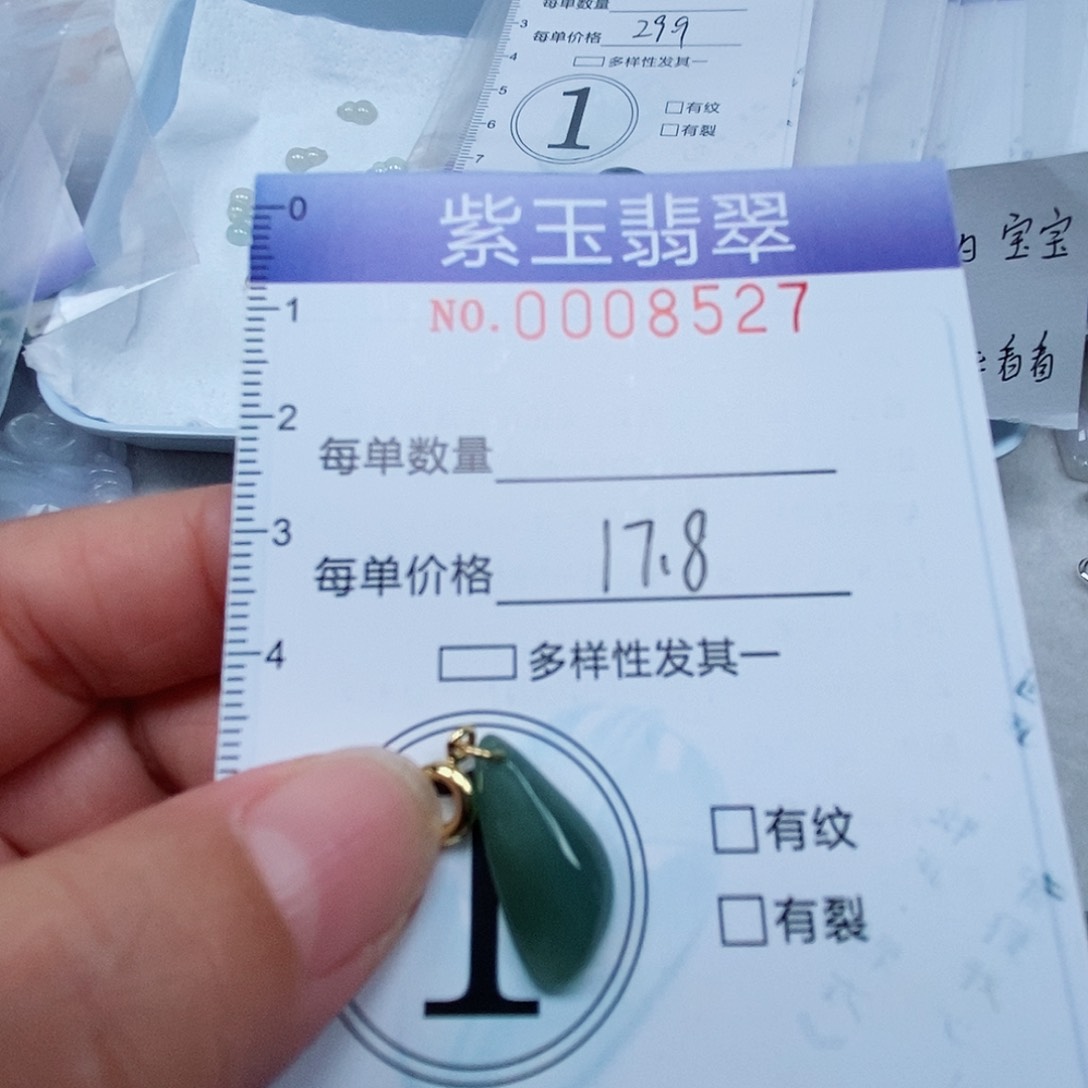 颈饰未镶嵌翡翠冰胶随行