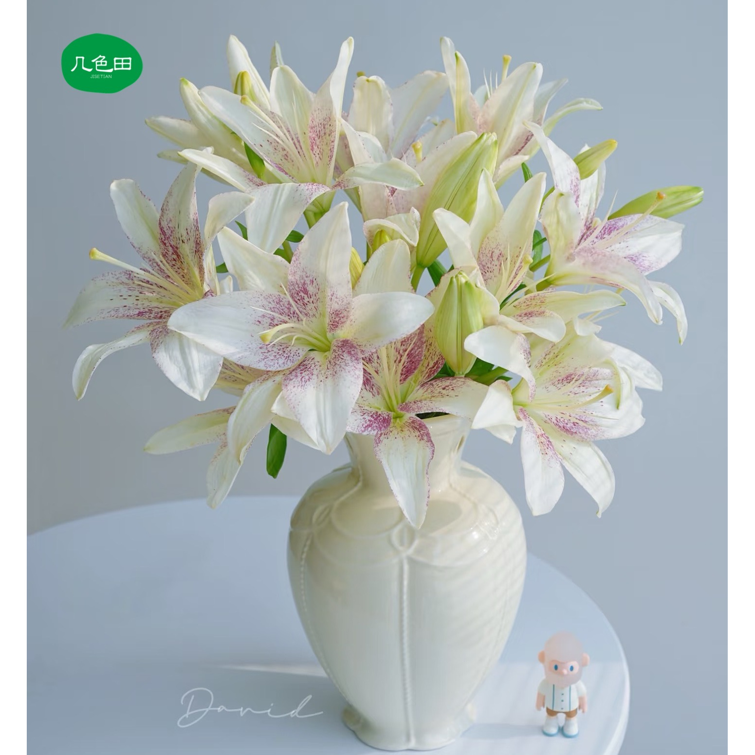 多头赞美诗----亚百合云南直发鲜花