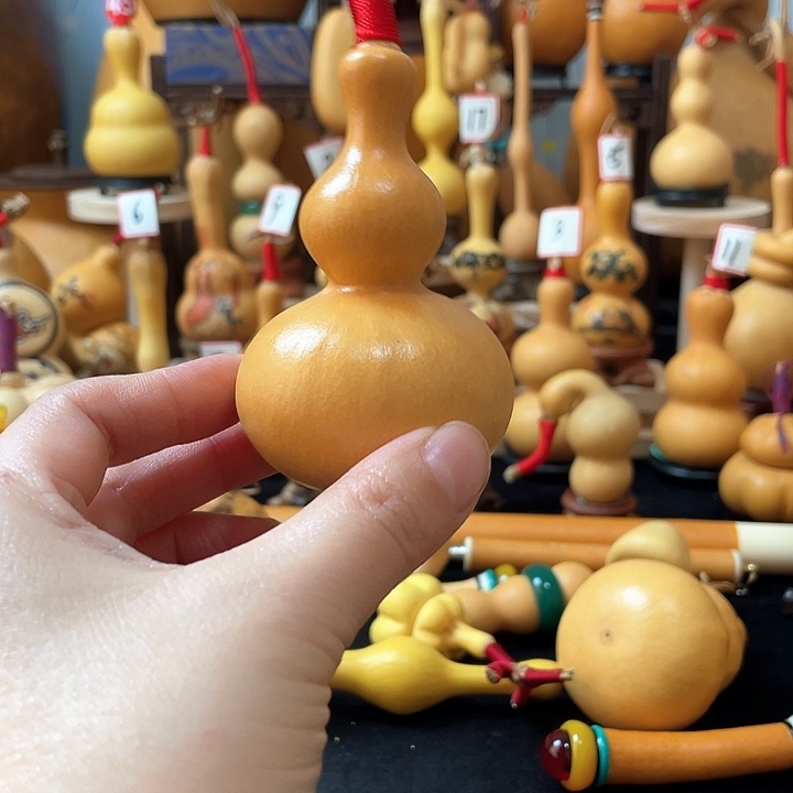 胖*猫葫芦岛连山区……你就知道我们会