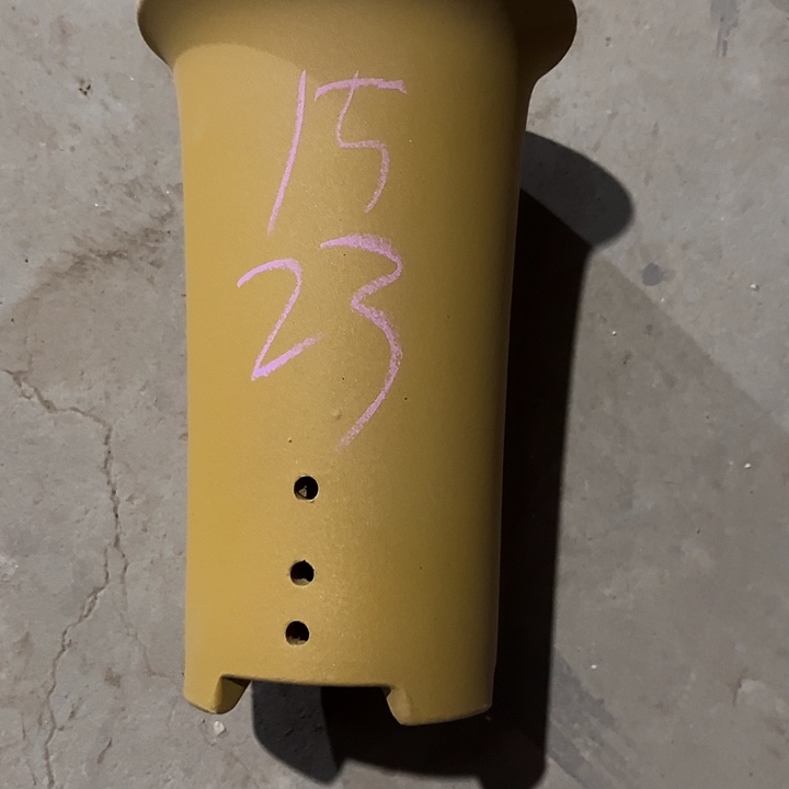 花盆紫砂宜兴紫砂兰花盆质量不错