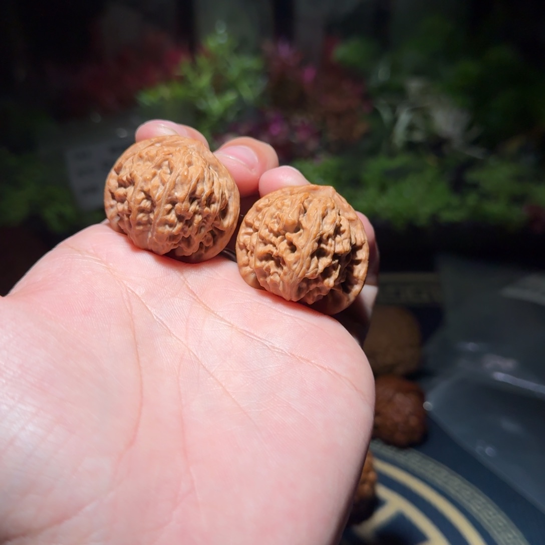 1809号35密云狮子头文玩核桃