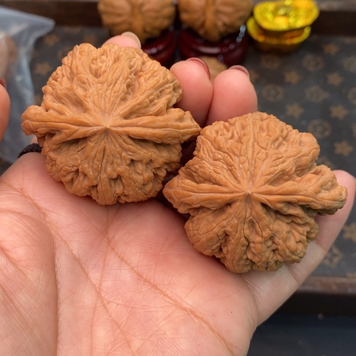 核桃大粗筋49尺核桃