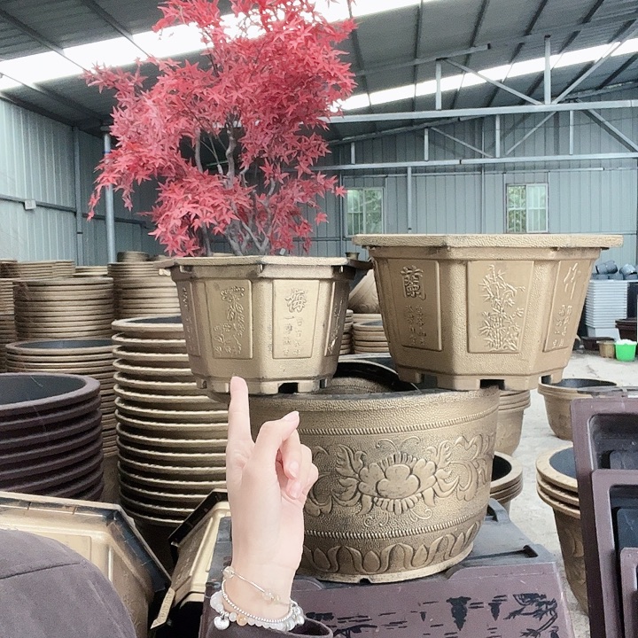 八角50花盆2个70元