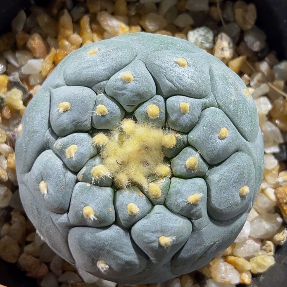 m特价福利yin潜力股