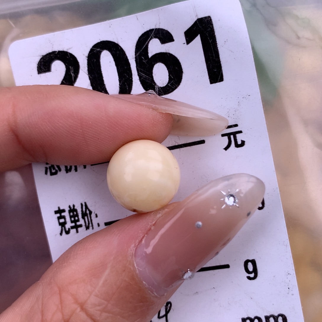 琥珀未镶嵌珠宝奇石11.4 植物