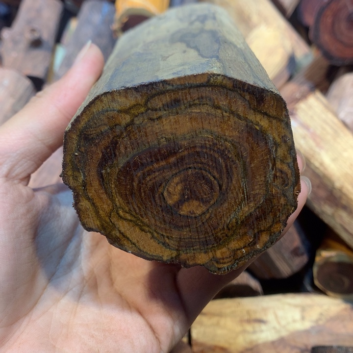 黄花梨/降香黄檀