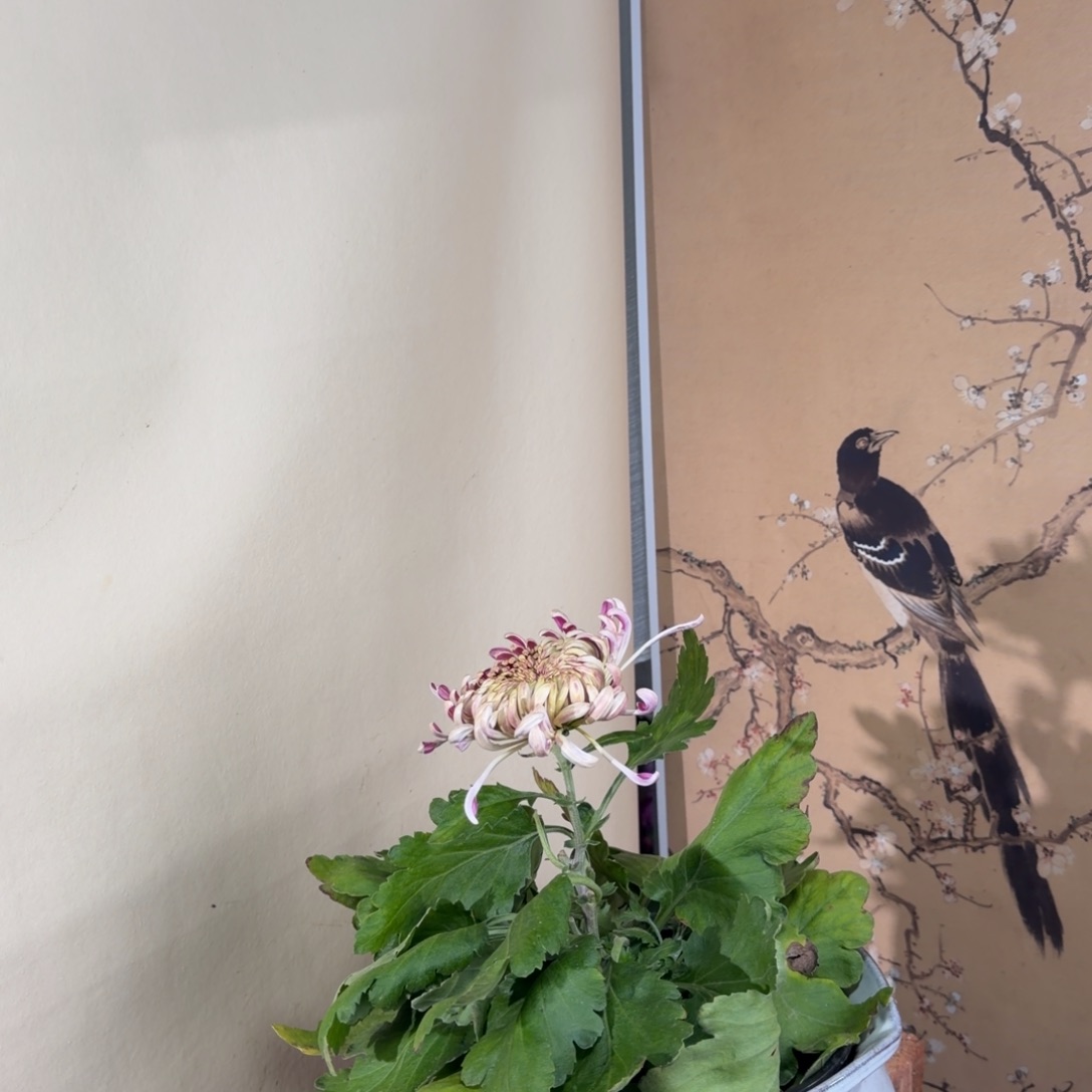 完全开放F8888888