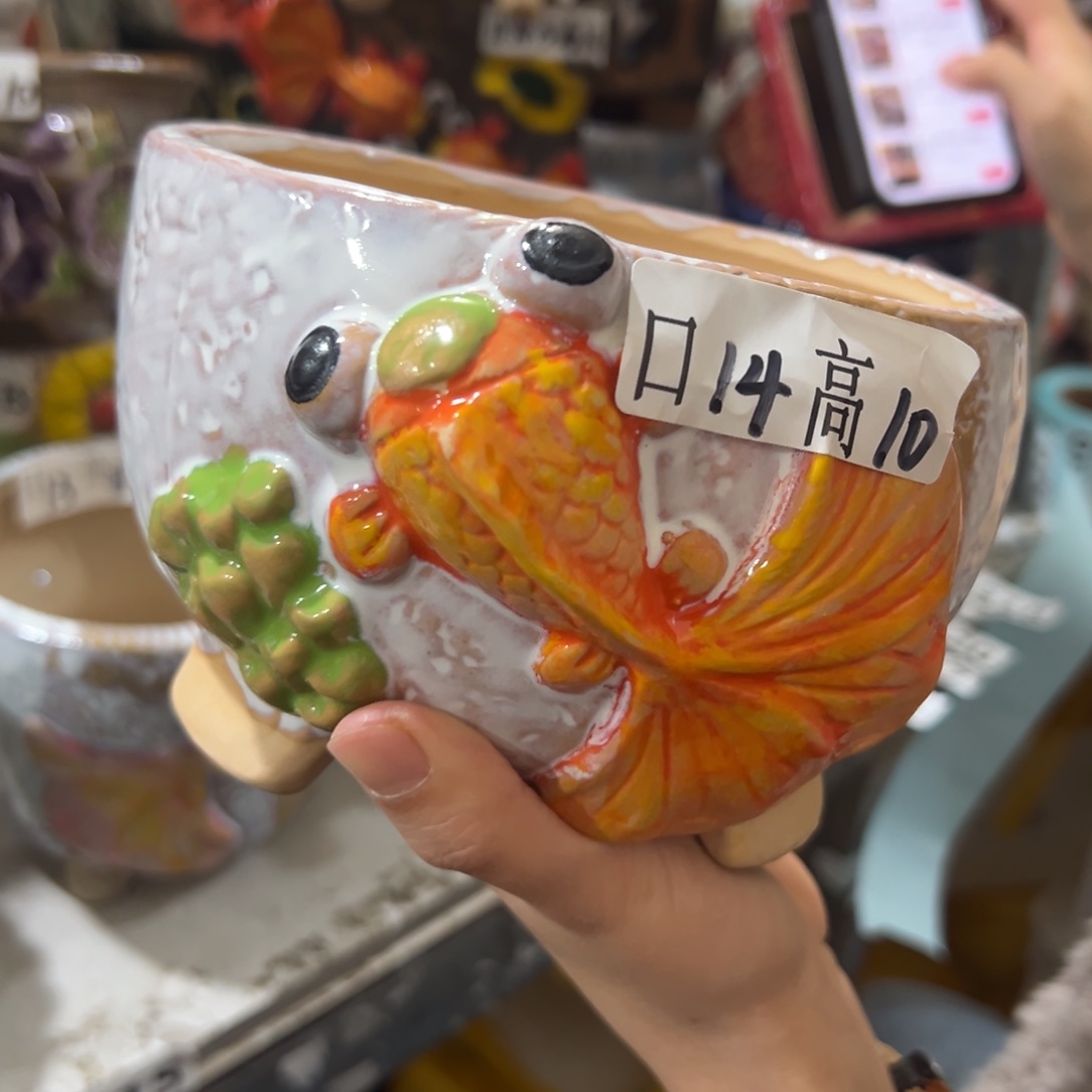 花盆，拍满20发货，退款拉黑