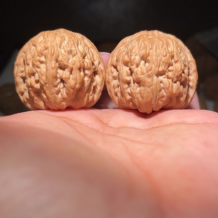 木40.5全品泥鳅背。    