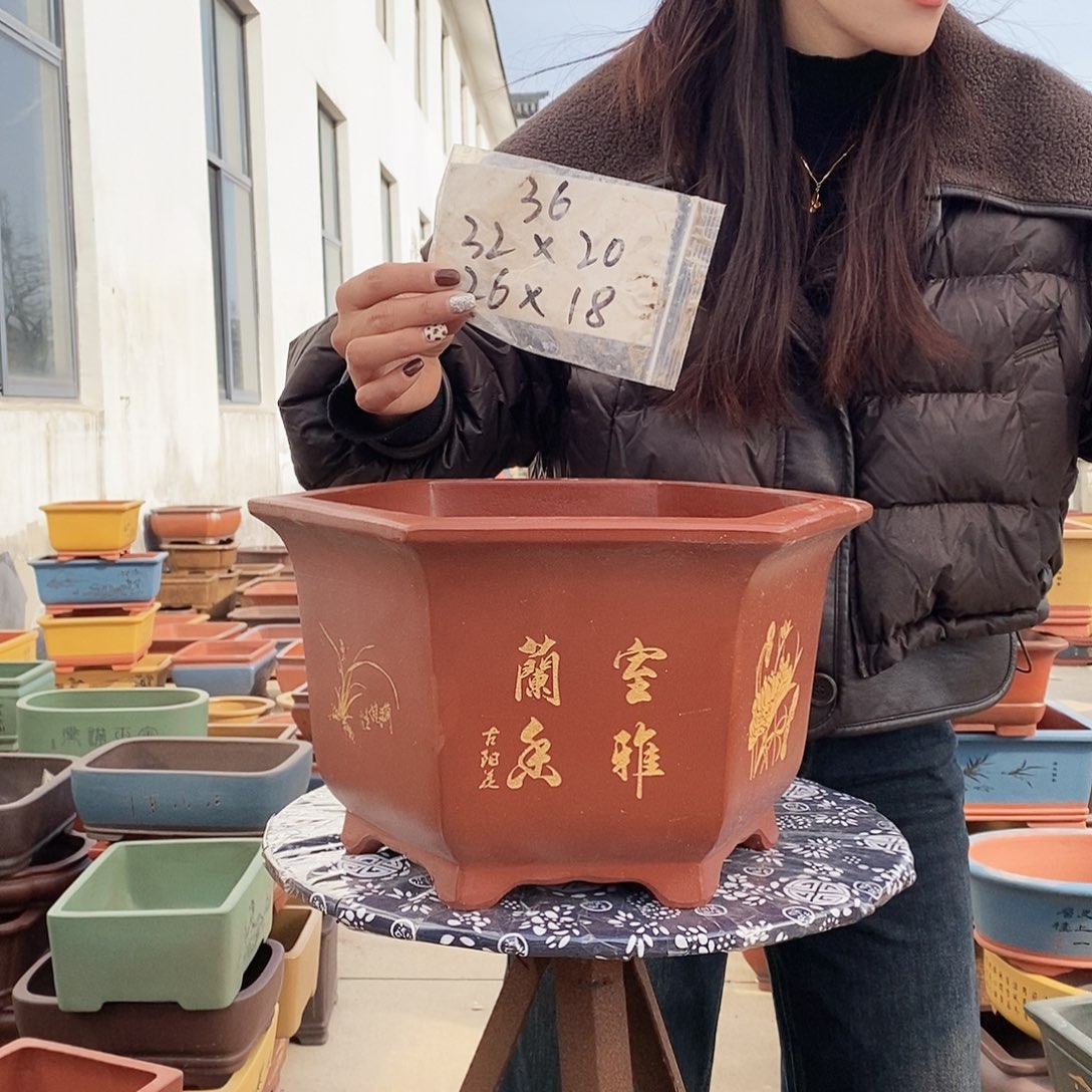 紫砂花盆紫砂花盆