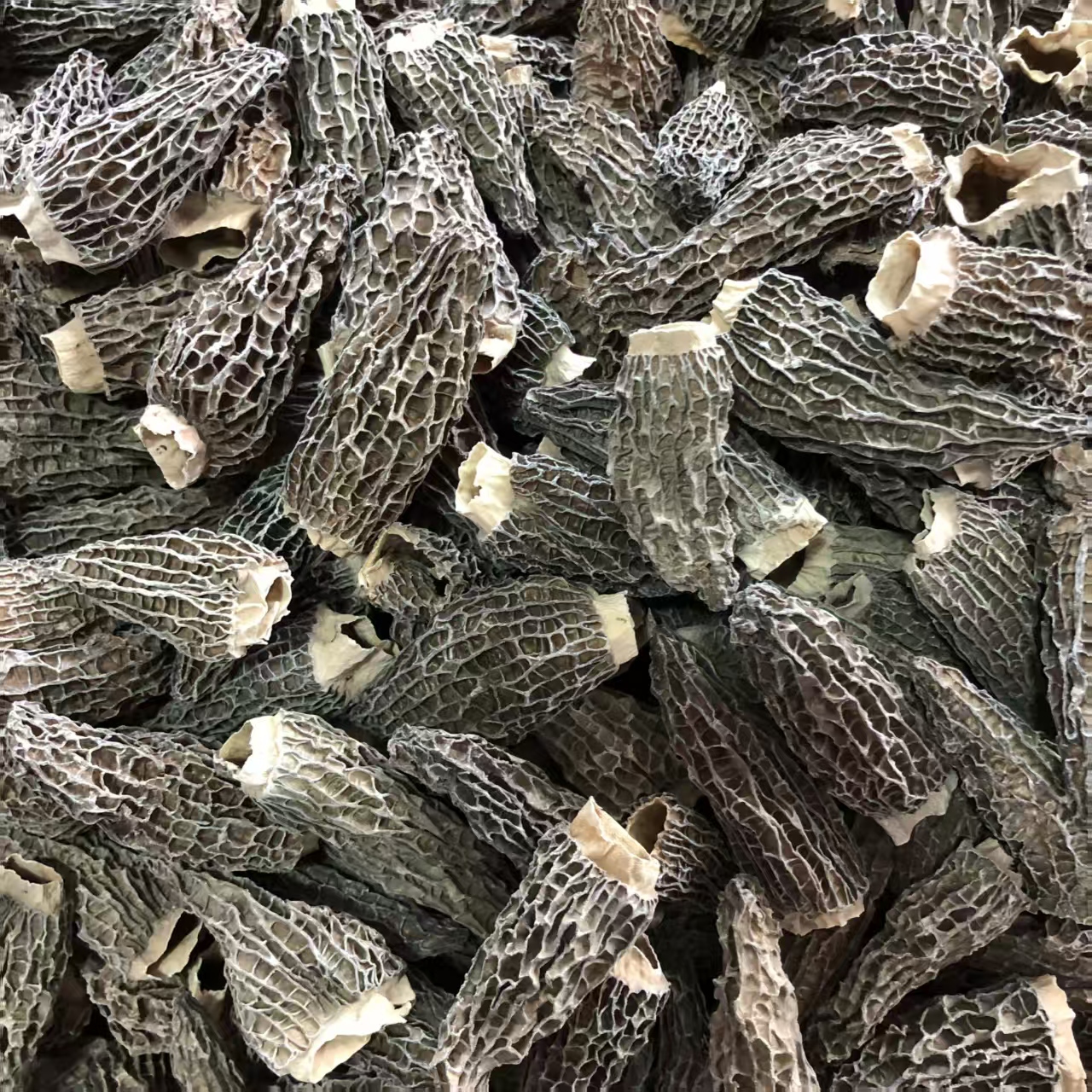 优质高货羊肚菌250g