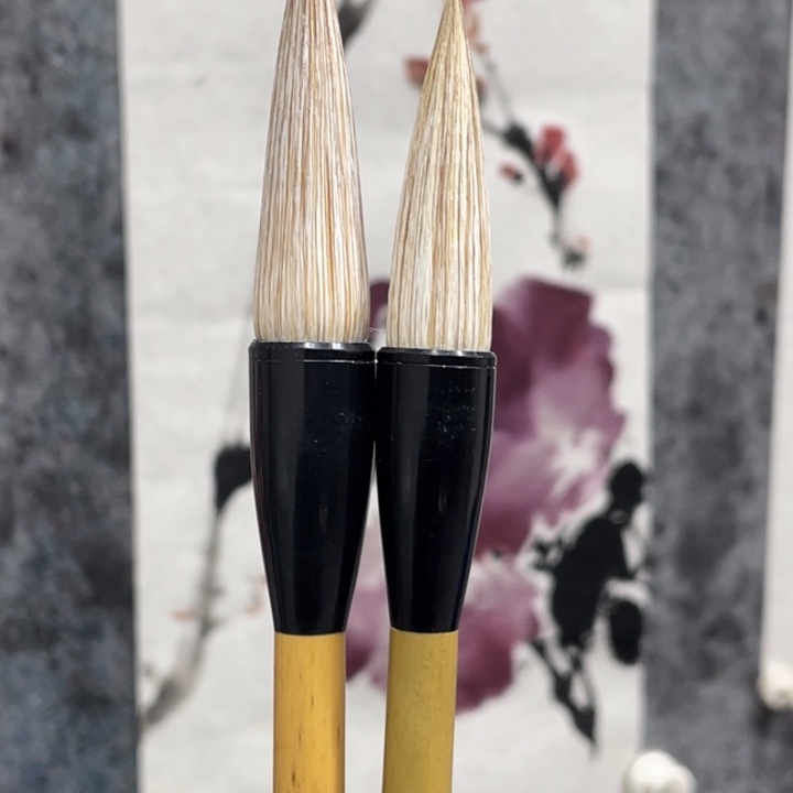 李军老师花鸟专用