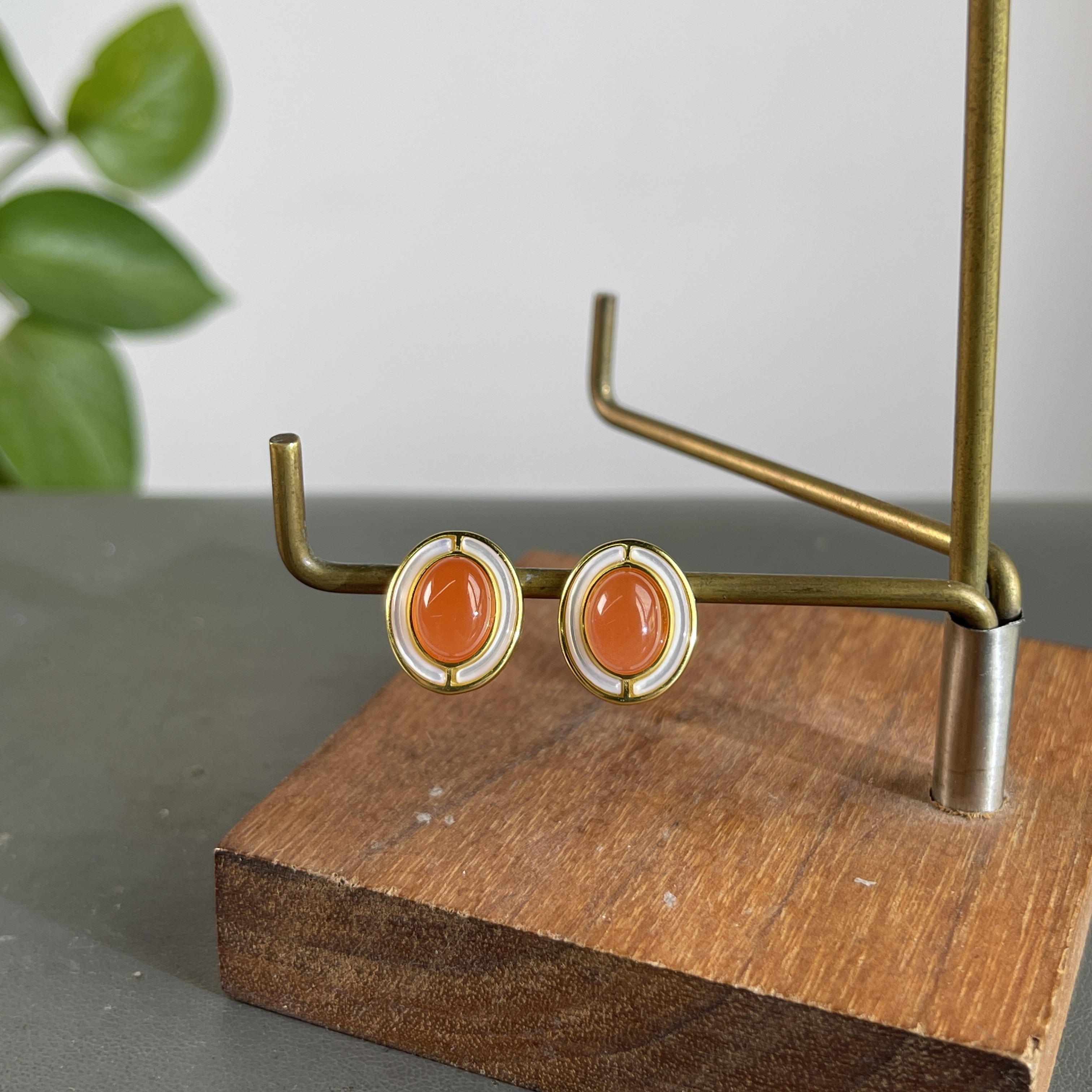 JXA25-09 南红-耳饰