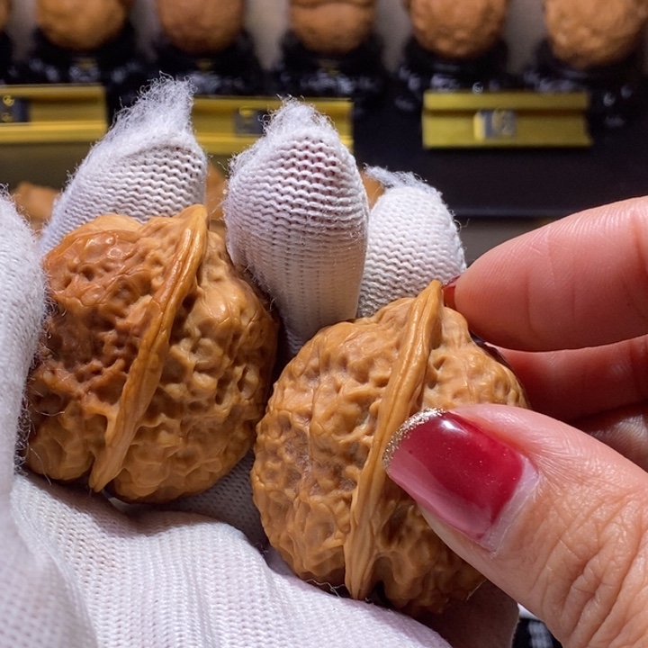 文玩核桃把件鹰嘴霸王蟾