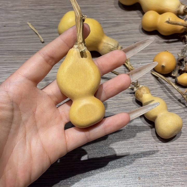 一***鱼葫芦葫芦葫芦葫芦