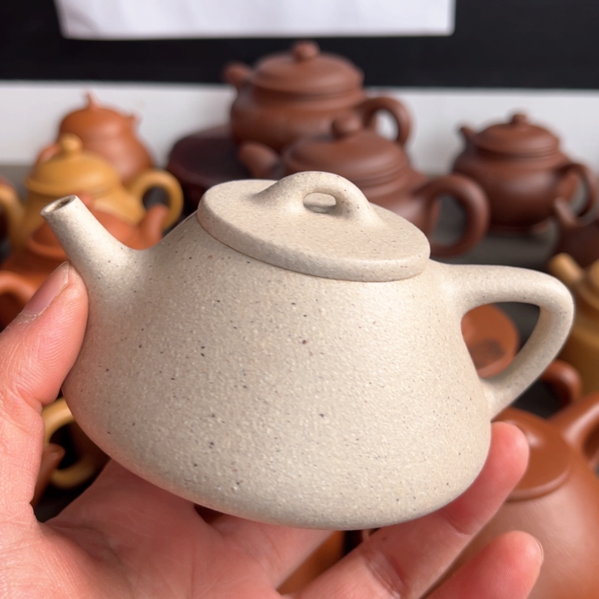 【闪购商品】三**物壶壶壶壶壶壶壶壶